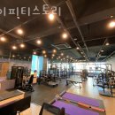 레이 피티 | 야당동헬스장 레이피티스토리 가격정보