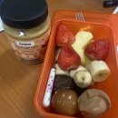 일상적인 한주｜오늘은 내 생일야 | 첫 대회 본선진출