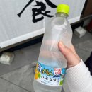 주식회사 익스퍼 | 6월의 도쿄 ³/₄