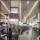 나만의 GYM | 서초동헬스장 초보도 반한 이유