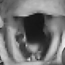 동주동물병원 이미지