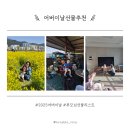 제주의료기 | 2025 어버이날 선물 뭐 살까? 부모님이 감동한 효도템 BEST 15 (가격대별 정리)
