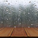 자연의소리 이미지