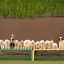 시흥유치원 이미지