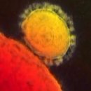 호법초교 이미지