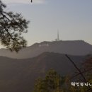 피 엘에이 이미지