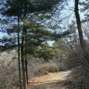 북악숲속 공중화장실 | 북악스카이 숲 속 카페 부암동 7번지 제빵소 주차