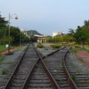 플래트 Daum카페