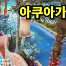 클린카우 이미지