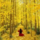 (주) 암새들 이미지