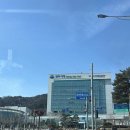 강원도 원주 대게 킹크랩 맛집 가격 정보 상화대게 무실점 후기