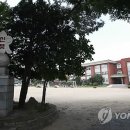 신풍초교(본교) 이미지