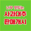 2024년 사과대추 판매개시 이미지