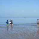 신안자연휴양림 이미지