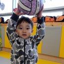 연세키즈태권도 이미지