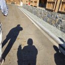 세이지우드 홍천산양목장 이미지