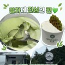 아워홈오설록티팩토리제주점 | 내돈내먹/오설록 티하우스 티팩토리점, 제주에서 즐긴 말차의 매력!