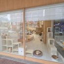 캣플코지눅 시화점 이미지