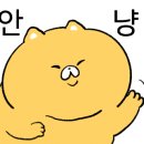 제일 칼국수 남천점 이미지