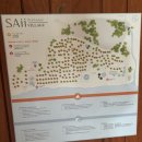 뱅골 | [태국 푸켓] 푸켓 피피섬 | 사이 피피 아일랜드 빌리지 리조트 후기 (+ 레스토랑 후기)