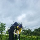 양호파크골프장 이미지