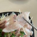 광 회집 | [가락시장 횟집] 향기수산 광참회 포장 후기, 가락몰 회센터 맛집 추천!