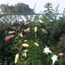 쇠섬스토리 이미지