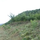 대바위농장 이미지