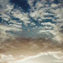 국제인권행정사 이미지