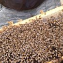 무주읍132 이미지