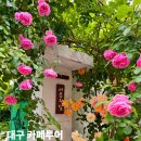 아름다운달과별약국 | 대구 중구 카페 가볼만한곳 추천 5곳