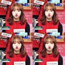 위미 이미지