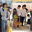 2008년 4월 6일 (김해) 추억의 사진 이미지