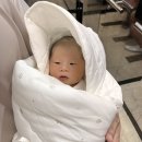 우리여성병원건물 네이버블로그