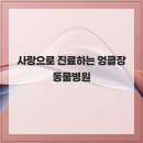 엉클장동물병원 이미지