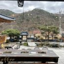 초리골 제빵소 | 파주법원읍카페 "초리골제빵소" 제빵명인 파주대형카페 솔직후기