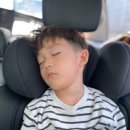 도고온천모두캠핑장 이미지