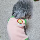 펫코지 진심러그 사용 후기 우리집 강아지를 위한 찐템 🐶💛