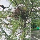 파랑새휴게소 이미지