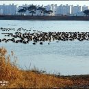 서호공원 이미지