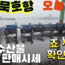 묵호항 자연산 수산물 판매시장 이미지