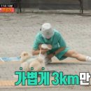 에너자이저 복싱 | 🎬 전참시 356회 리뷰 gogo