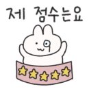 미스터와이 애견풀빌라 이미지