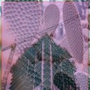 동양당한약방 이미지