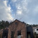 소소원113 이미지
