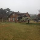 진경원민박캠핑장 이미지