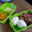 쪼이참치 이미지