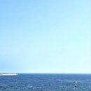 솔비치카페 이미지