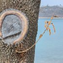 하동미라클 청소년야영장 | 하동 솔섬여행기