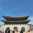 댕댕상점 | 생각보다 더 더 좋았던 뉴발란스 북촌 런 허브점 러닝복장 대여/ 댕댕런/ 김밥과 브런치 후기🏃‍♀️‼️